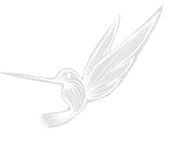 hummingbird illustration